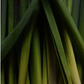 Bath Salt - Lemongrass Noir