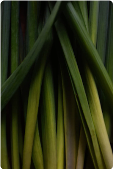 Bath Salt - Lemongrass Noir